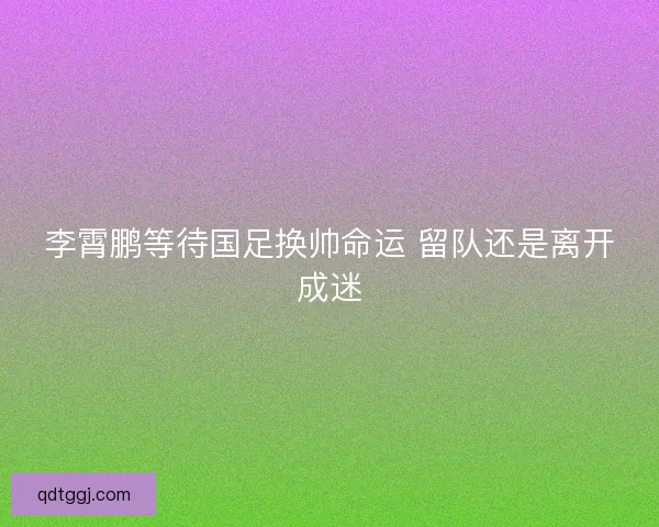 李霄鹏等待国足换帅命运 留队还是离开成迷 李霄鹏等待国足换帅命运 留队还是离开成迷