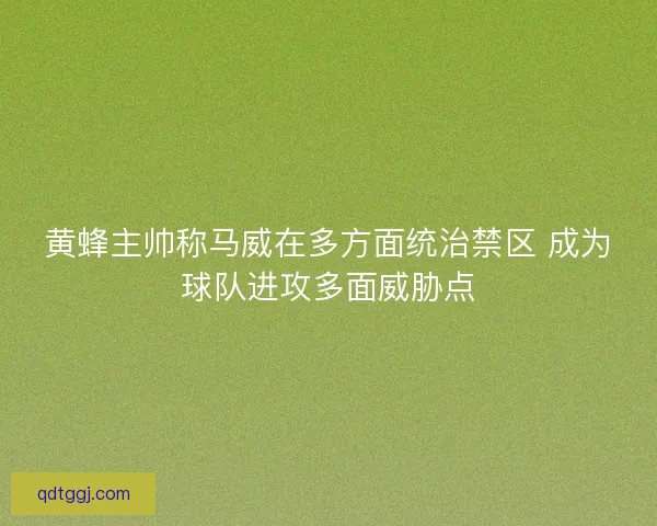 黄蜂主帅称马威在多方面统治禁区 成为球队进攻多面威胁点 黄蜂主帅称马威在多方面统治禁区 成为球队进攻多面威胁点